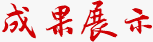 成果展示